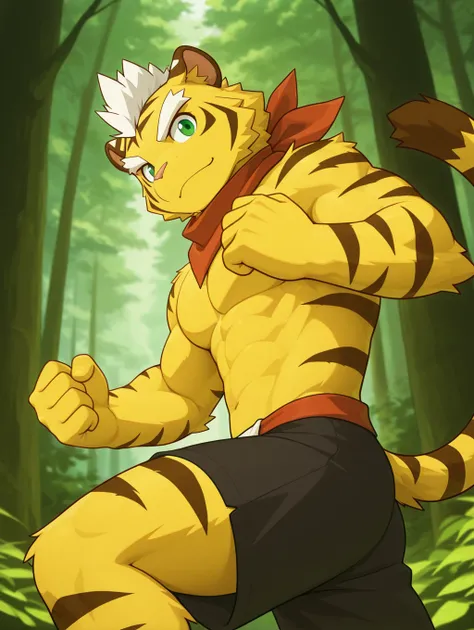 Toramaru (Nekotiger)_rel_260420