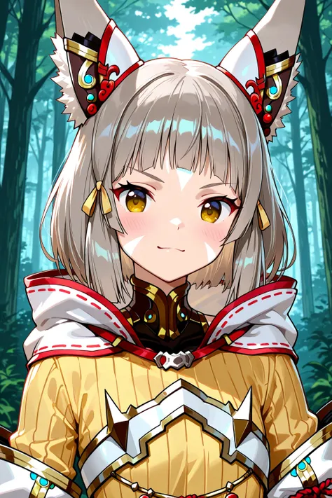 ニア (Nia) | ゼノブレイド2 (Xenoblade Chronicles 2) a