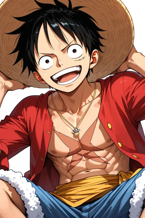 モンキー・D・ルフィ (Monkey D. Luffy) | ONE PIECE (One Piece) a
