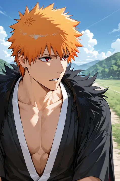 黒崎一護 (Ichigo Kurosaki) | BLEACH a