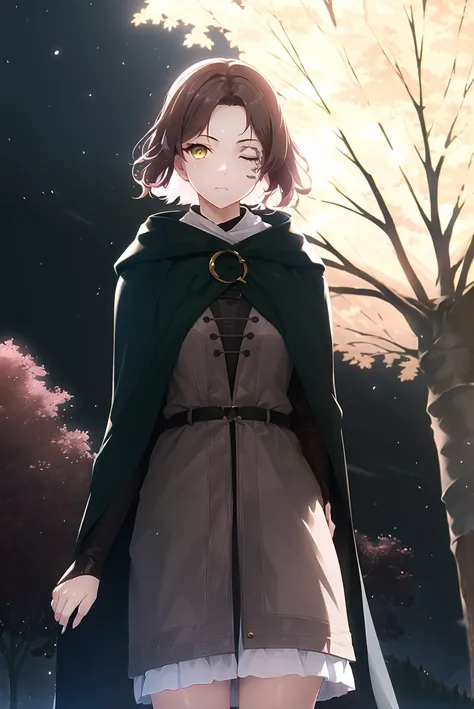 melina (elden ring), detailed background, ((night)), dark, erdtree in the distance,
1girl, black background, brown eyes, brown hair, cloak, green cloak, long sleeves, looking at viewer, one eye closed, short hair, solo, standing, tree, solo, yellow eyes,...