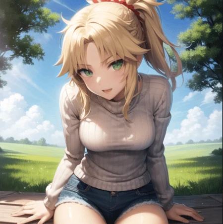 Mordred (Fate) LoRA [8 MB]