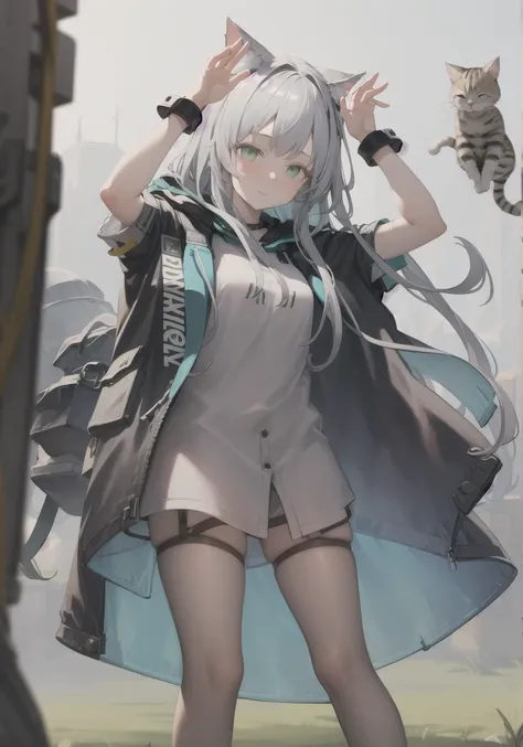 masterpiece, best quality, standing, 1girl, from front,
<lora:rosmontis:0.8>, jacket, silver hair, green eyes, cat ears,
<lora:Ver2-10:0.8>, arms up, rabbit pose,