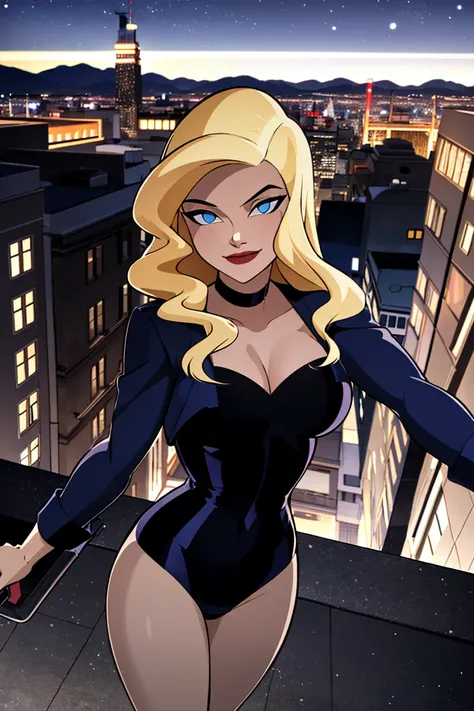 Black Canary (DC Comics) [Illustrious & SD1.5]