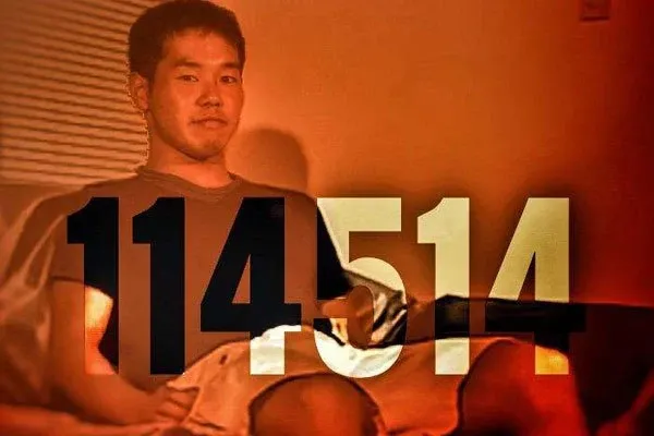 114514/逸一时误一世(请勿下载/Do not download)