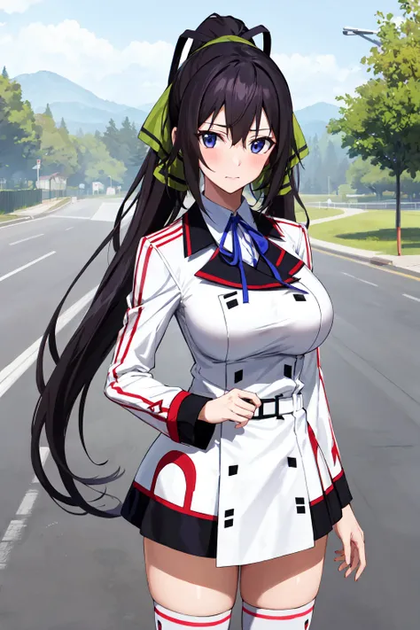 Shinonono Houki 篠ノ之箒 / Infinite Stratos