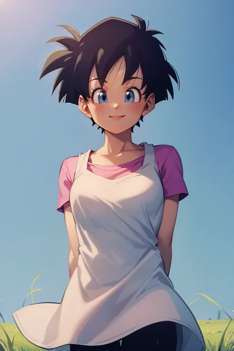 Videl - Dragon Ball Z - SD1.5 LORA