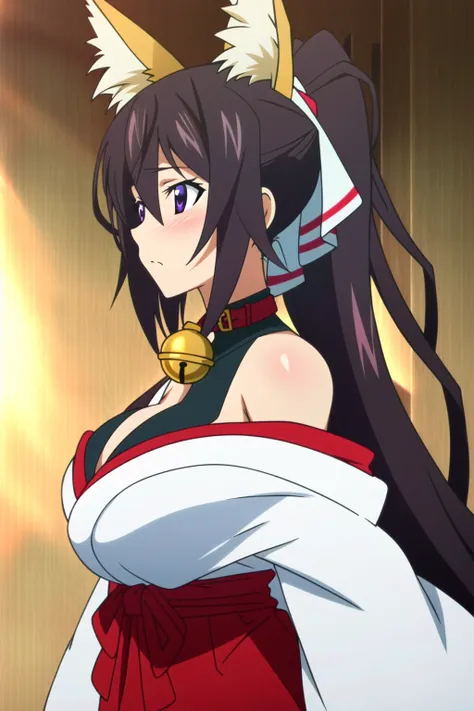 Houki Shinonono | Infinite Stratos