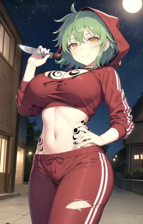 masterpiece, best quality, best aesthetic, anime, ultra detailed, hikage_sk, 1girl, solo, cleavage, (tattoo, breast tattoo:1.2), (large breasts:1.2), (wide hips:1.2), (red pants, sweatpants:1.2), (red sweater, hoodie:1.2), (hood up:1.2), (midriff, navel:1....