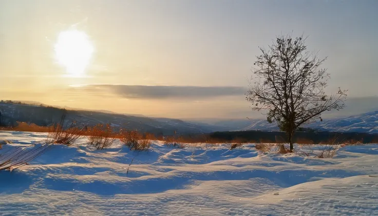 snowy landscapes