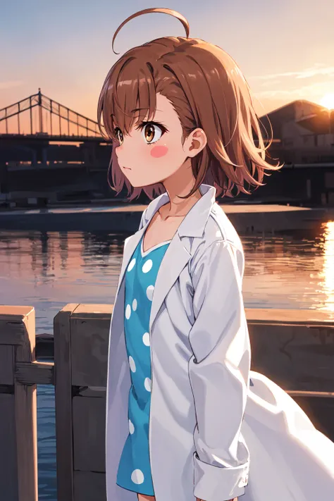 masterpiece, best quality, highres, aalo, solo, short hair, ahoge, blush stickers, collarbone, polka dot dress, blue dress, labcoat, white coat, long sleeves, <lora:last_order_v1:0.7>, from side, sunset, bridge,