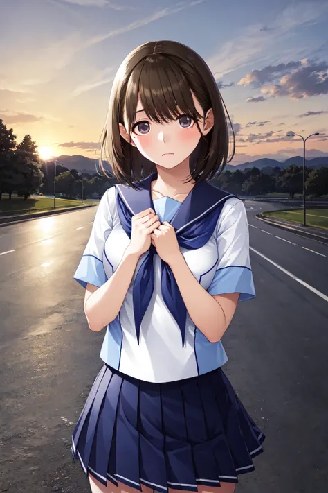 masterpiece, best quality, highres, aanene, short hair, serafuku, white shirt, short sleeves, sailor collar, blue neckerchief, pleated skirt, blue skirt, <lora:anegasaki_nene_v1:0.7>, sunset, road, hands on own chest, standing, cowboy shot, sad