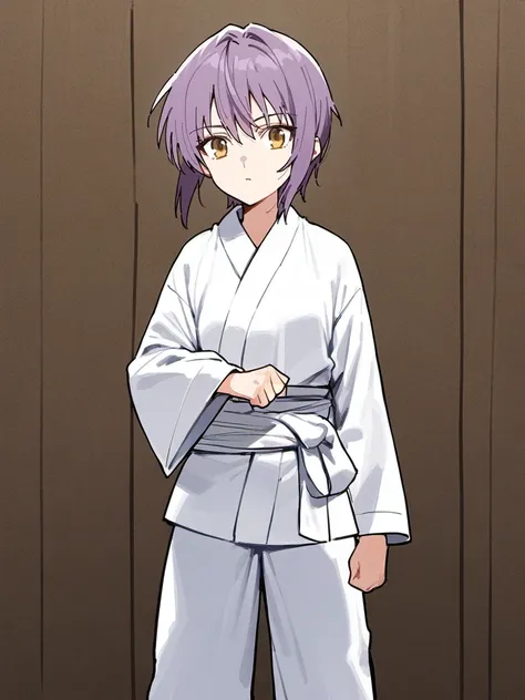 score_9, source_anime,
nagato yuki, purple hair, short hair, yellow eyes, standing, expressionless, 
judo, karate, gi, 
 <lora:nagato ponyDiffusionV6XL_v6StartWithThisOne 8x16 AdamW8bit__cosine__1708806036:0.6>