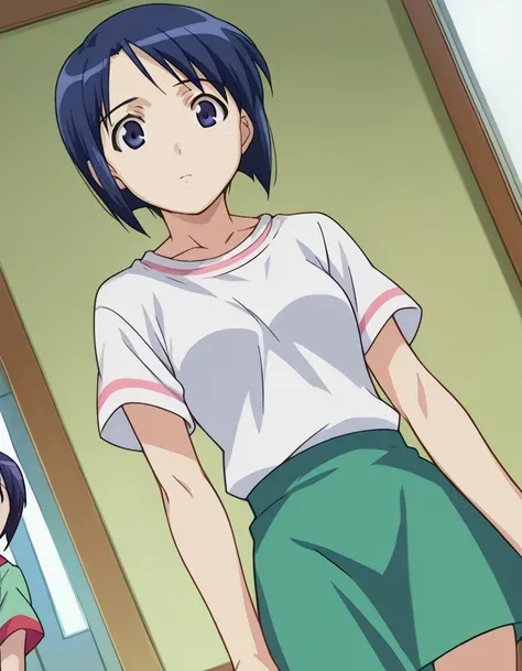 score_9, score_8_up, score_7_up, source_anime,
shinobumaehara, <lora:shinobu-maehara-ponyxl-lora-nochekaiser:1>,
shinobu maehara, short hair, blue eyes, blue hair,
skirt, shirt, short sleeves, green skirt,
indoors,
looking at viewer, dutch angle, cowboy sh...