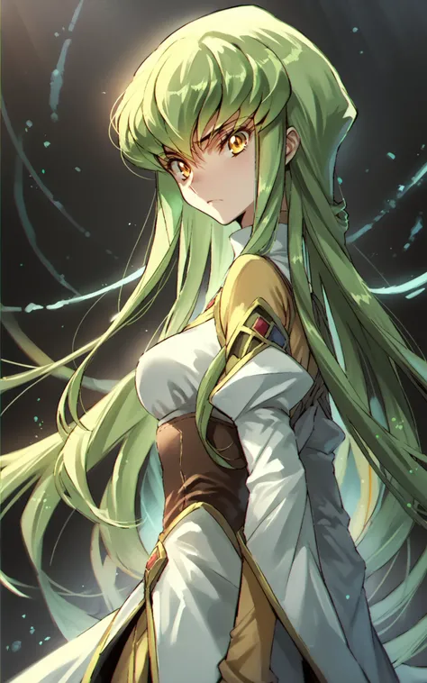 score_9,score_8_up,score_7_up,score_6_up,score_5_up,score_4_up,source_anime,1girl,<lora:Dsmile_style_pony:0.8>,Dsmile_style,chromatic aberration,c.c., code geass, green hair, long hair, yellow eyes,