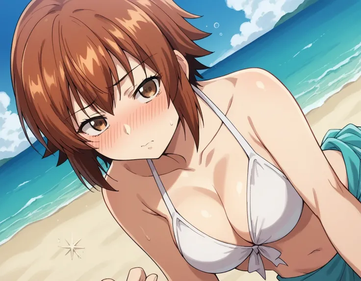 score_9, score_8_up, score_7_up, source_anime,
chisakotegawa,  <lora:chisa-kotegawa-s1-ponyxl-lora-nochekaiser:1>,
chisa kotegawa, short hair, bangs, brown hair, brown eyes,
navel, cleavage, collarbone, swimsuit, bikini, white bikini, sarong,
outdoors, bea...