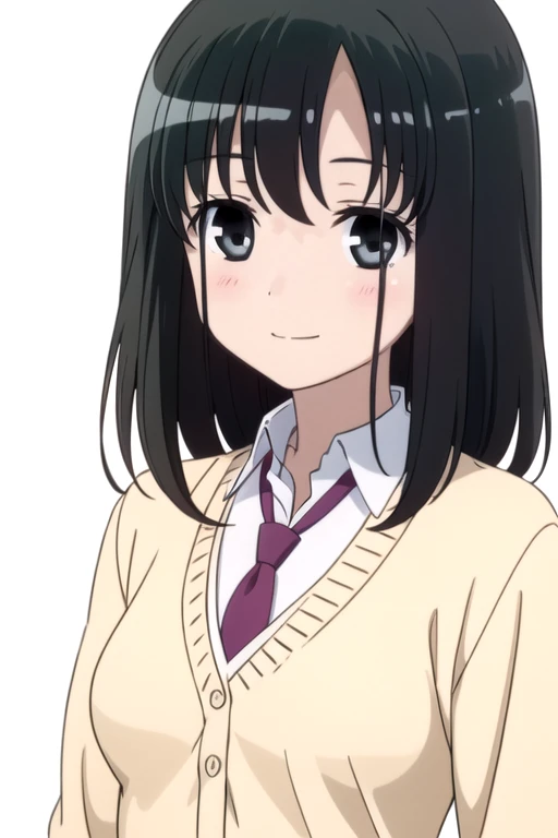 solo, 1girl, looking at viewer, 2D, anime, anime coloring, upper body, (simple background, solid white background:1.3), <lora:momoko-saki:0.75>, momoko touyoko, school uniform, purple necktie, tan cardigan, smile