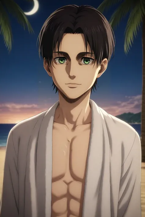 score_9, score_8_up, score_7_up, source_anime, rating_safe, intricate details, (3d:0.4), looking at viewer, , 1boy, male focus, green eyes, chestnut hair,, solo, panorama, beach, palm tree, towel, night, crescent moon, arm at side, light smile, <lora:shing...