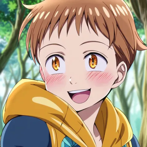 King (Nanatsu No Taizai) PonyXL V6_rel_260420
