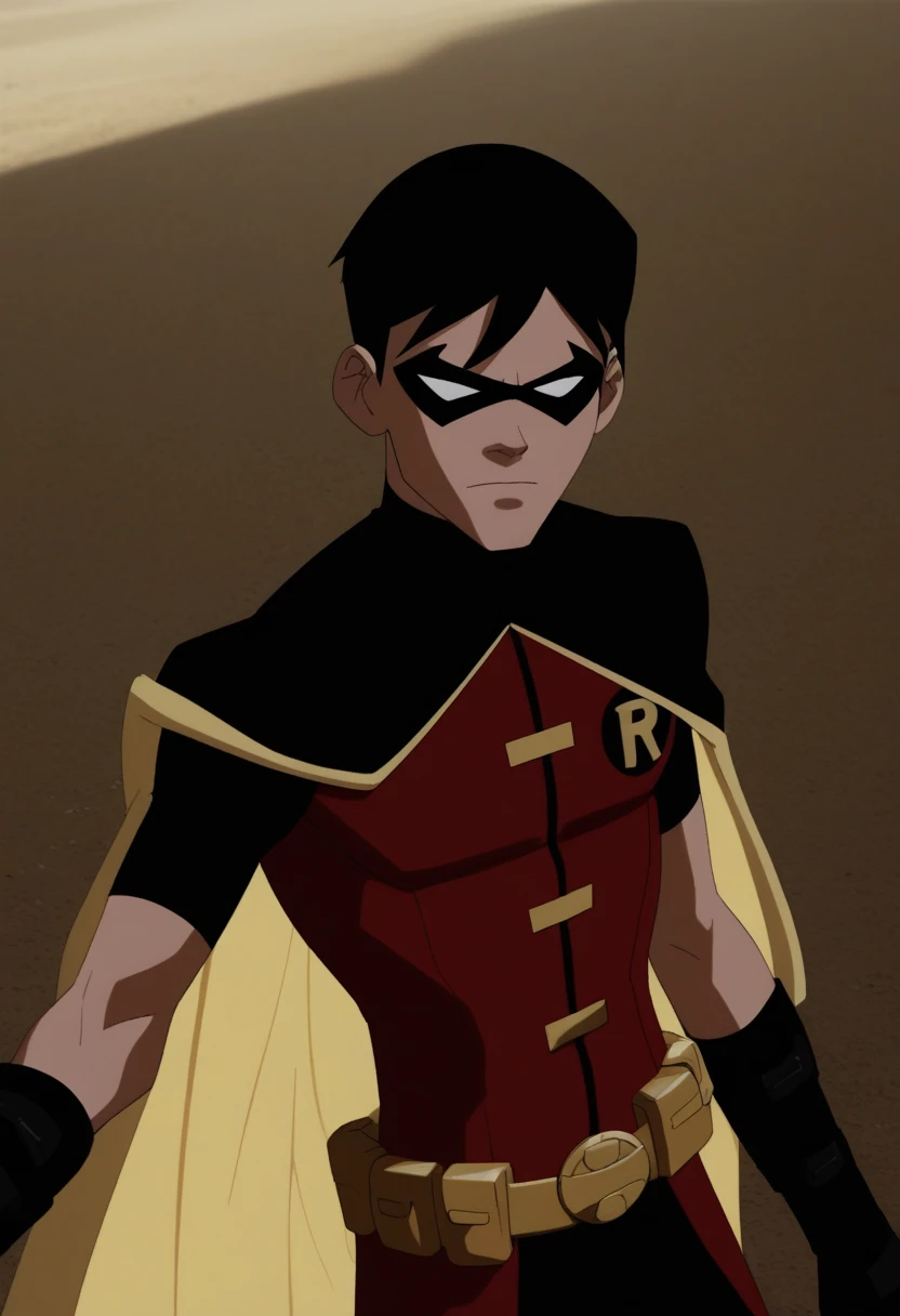 Robin / Dick Grayson - Young Justice - (Pony)