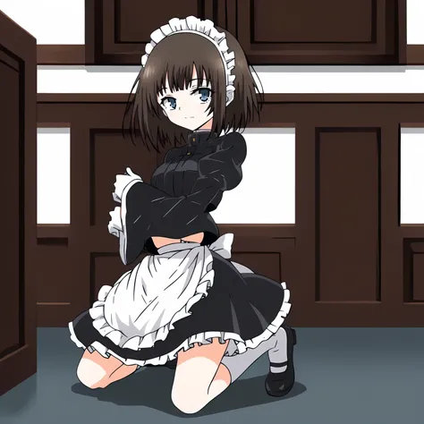 <lora:RurikawaTsubakiXLpony001>,
solo,
RurikawaTsubaki,1girl,brown hair,short hair,blue eyes,
maid headdress,
maid,wide_sleeves,
white gloves,
waist apron,
skirt,frills,
white socks,
mary janes,
full body,kneeling,