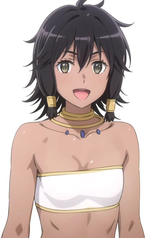 Tiona Hiryute - Danmachi