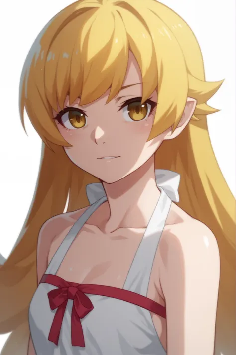 Monogatari | Shinobu Oshino (PDXL)