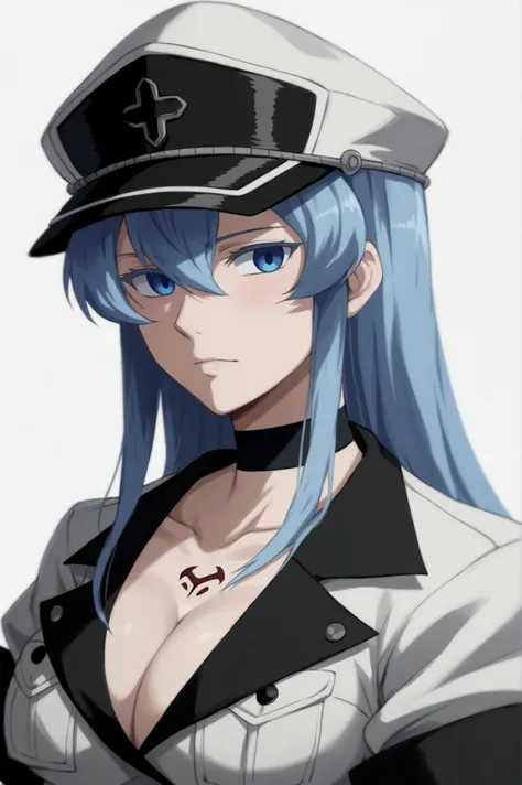 Akame ga Kill! | Esdeath (PDXL)