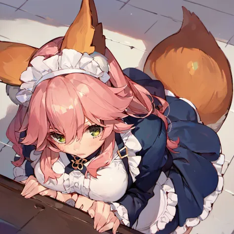 score_9, score_8_up, score_7_up, score_6_up, source_anime,
tamamo no mae (fate/extra), breasts squeezed together, from above, leaning forward,
<lora:tamamaid-000008:0.9>tamamaid