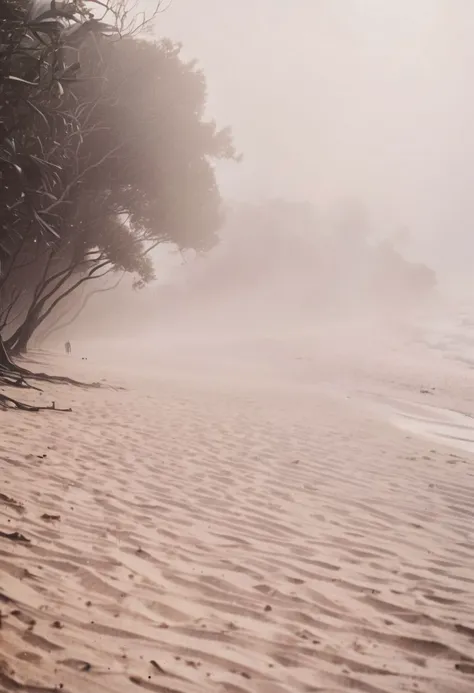 lith_argenta_PressWeichPW1,  instagram photo,a foggy beach in sri lanka, hard shadows, film grain