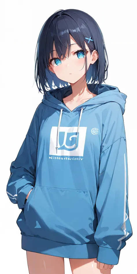 パーカー/hoodie(XL,pony)