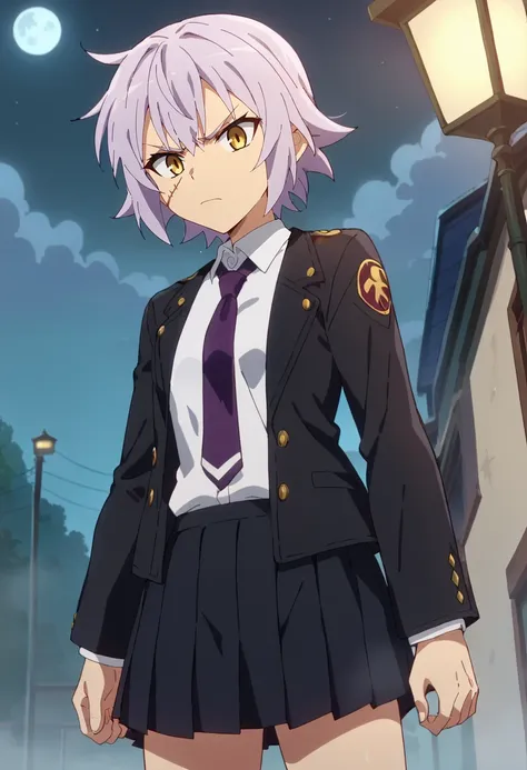 score_9, score_8_up, score_7_up, source_anime, anime screencap,
<lora:FateApocrypha_JackTheRipperXL:0.8>, JackTheRipperFA,
1girl, closed mouth, angry,
lavender hair, short hair, scar,
school uniform, black jacket, open jacket, white shirt, purple necktie, ...