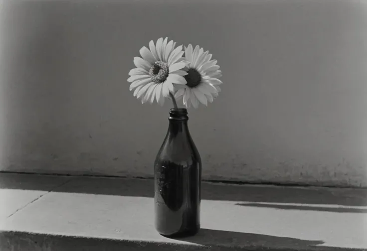 KB_ektachrome_BW, instagram photo,a bottle with a flower, hard shadows, film grain