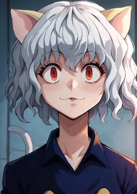 Neferpitou - HxH 2011 anime accurate style - SDXL Pony