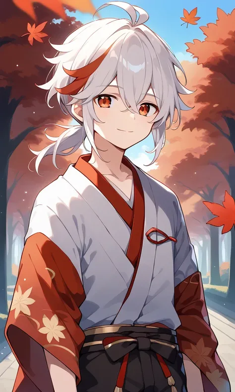 Kaedehara Kazuha XL / Genshin Impact