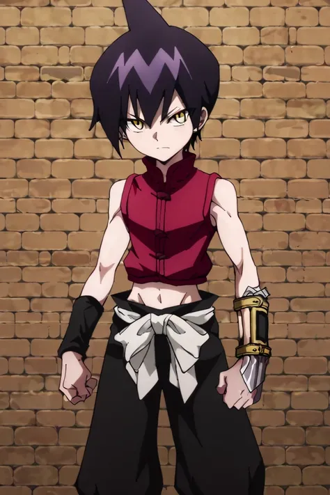 score_9,score_8_up,score_7_up,source_anime,1boy, solo,Tao Ren,purple hair, yellow eyes, Red shirt, sleeveless,midriff<lora:EMS-401123-EMS:1.000000>