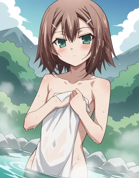 score_9, score_8_up, score_7_up, source_anime,
hideyoshikinoshita, <lora:hideyoshi-kinoshita-s2-ponyxl-lora-nochekaiser:1>,
hideyoshi kinoshita, brown hair, green eyes, hair ornament, hairclip, otoko no ko, trap, hair between eyes,
nude, naked, 
outdoors, ...