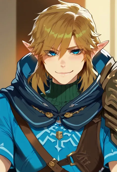 Link (Legend of Zelda: Tears of the Kingdom)