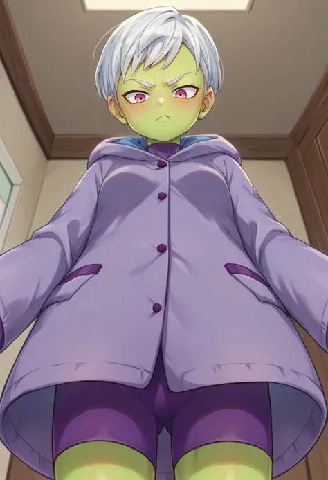 score_9,score_8_up,score_7_up BREAK <lora:cheelai:0.9>,cheelaiXD,1girl,short hair,white hair,pink eyes,colored skin,frown,green skin,purple bodysuit,purple coat,hood down,hood,coat,cowboy shot,room,room background,from below,v,