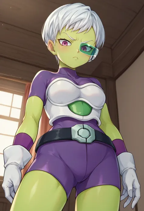 score_9,score_8_up,score_7_up BREAK <lora:cheelai:1>,cheelaiXD,1girl,short hair,gloves,white hair,belt,white gloves,pink eyes,armor,bodysuit,colored skin,frown,green skin,tinted eyewear,purple bodysuit,cowboy shot,room,room background,from below,looking at...