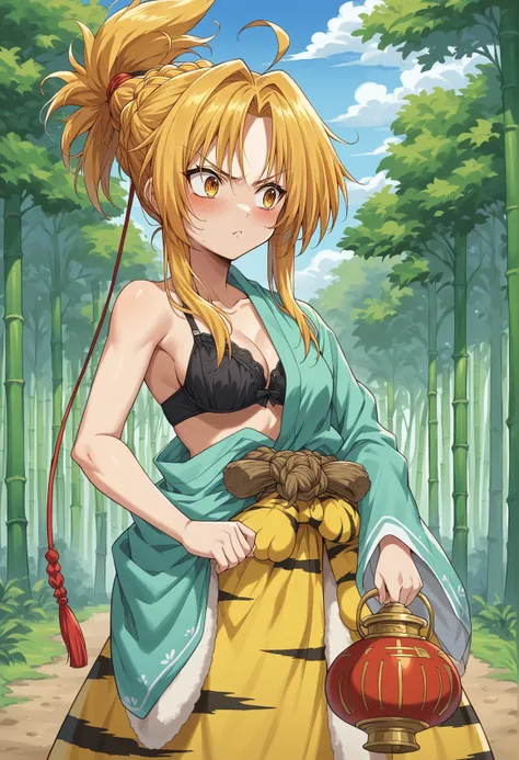 Oda Nobuna (Oda Nobuna No Yabou) XL