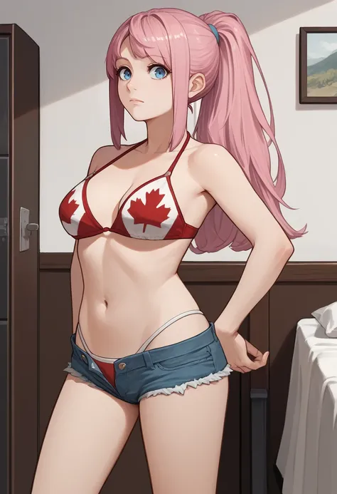 🍁Canadian Bikini🍁(Outfit) SDXL LoRA [Pony]