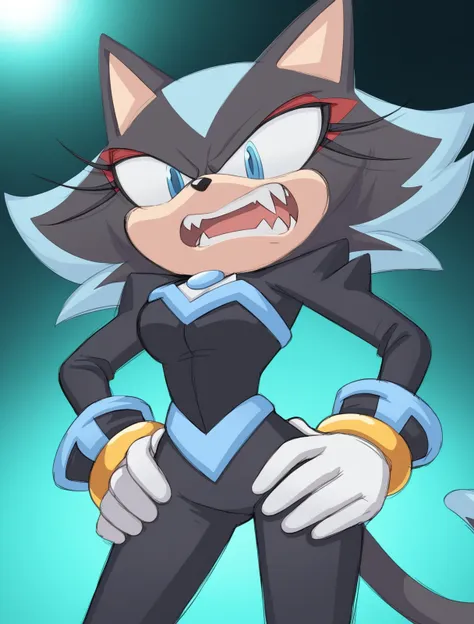 Blizzard the Cat (Sonic the Hedgehog OC)