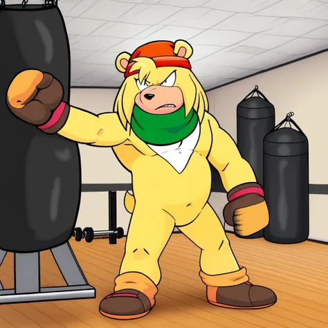 Bark the bear, green scarf, orange beanie, furry male, solo, indoors, gym, punching bag