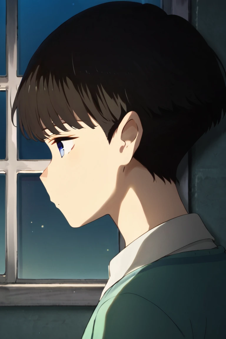 score_9,score_8_up,score_7_up,source_anime,1boy, solo,noppo,black hair, blue eyes, bangs,short hair,sweater,collared shirt, close-up, from side, window, night,reflection<lora:EMS-423735-EMS:1.000000>