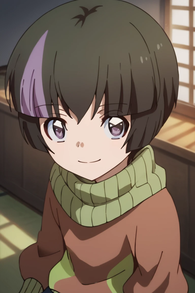 score_9,score_8_up,score_7_up,source_anime,HD,1boy, solo,Shinobu Tsukiyama,black hair,purple hair,multicolored hair,two-tone hair,streaked hair,short hair,purple eyes, turtleneck,sweater, smile, indoors, looking at viewer, sitting<lora:EMS-431063-EMS:1.000...