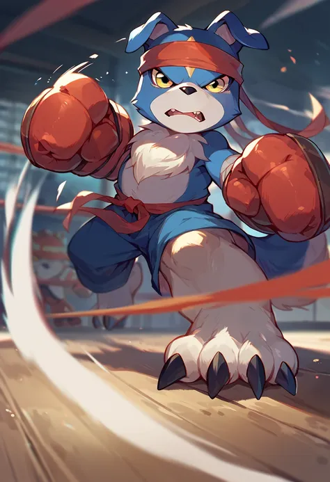 there is a cartoon of a cat with boxing gloves on