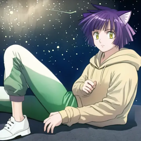 semi-realistic, 1girl, solo, on side, <lora:aimyoujinXLpony:1> aimyoujin, yellow eyes, purple hair, short hair, cat ears, star (sky), night, beige hoodie, green trousers, shoes,