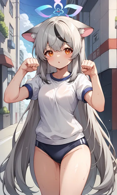 score_9, score_8_up, score_7_up, score_6_up, BREAK source_anime, 1girl, solo, outdoors, street, standing, cowboy shot, looking at viewer, kokona, orange eyes, grey hair, very long hair, streaked hair, animal ears, halo, white shirt, short sleeves, gym unif...