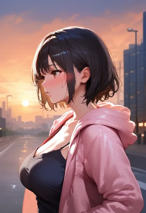 score_9, score_8_up, score_7_up, score_6_up, source_anime, <lora:GEN 0.1v:0.9>, GEN,
1girl, solo, outdoors, hood, jacket, blush, short hair, hood down, open clothes, hooded jacket, black hair, sky, lamppost, pink jacket, upper body, sunset, open jacket, ba...